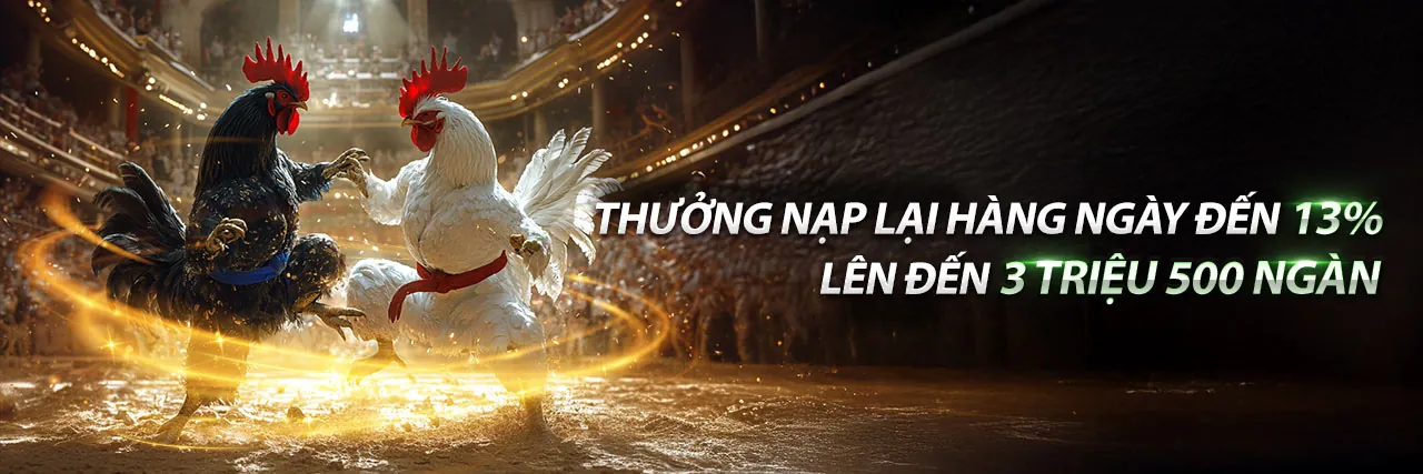 Đá Gà Trực Tuyến Hấp Dẫn tại 22lucky8